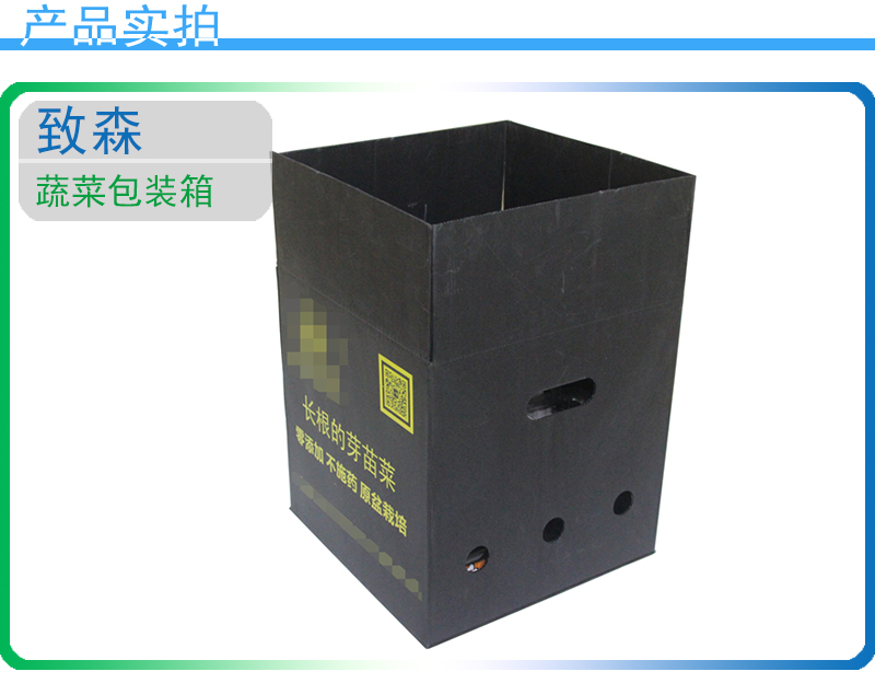 pp中空板包裝箱 pp中空板包裝箱