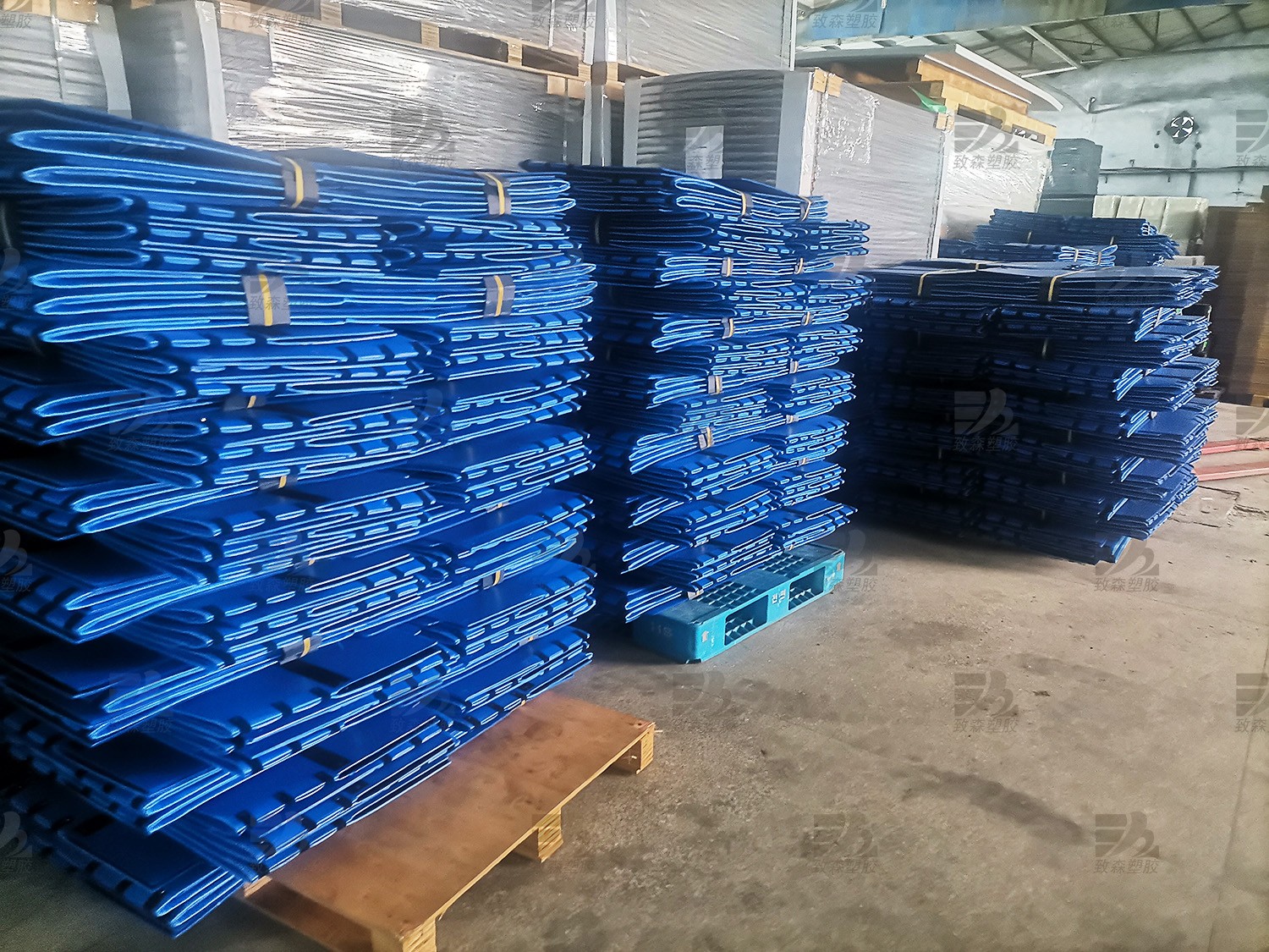 1715221876435899.jpg IMG_20231030_121329.jpg